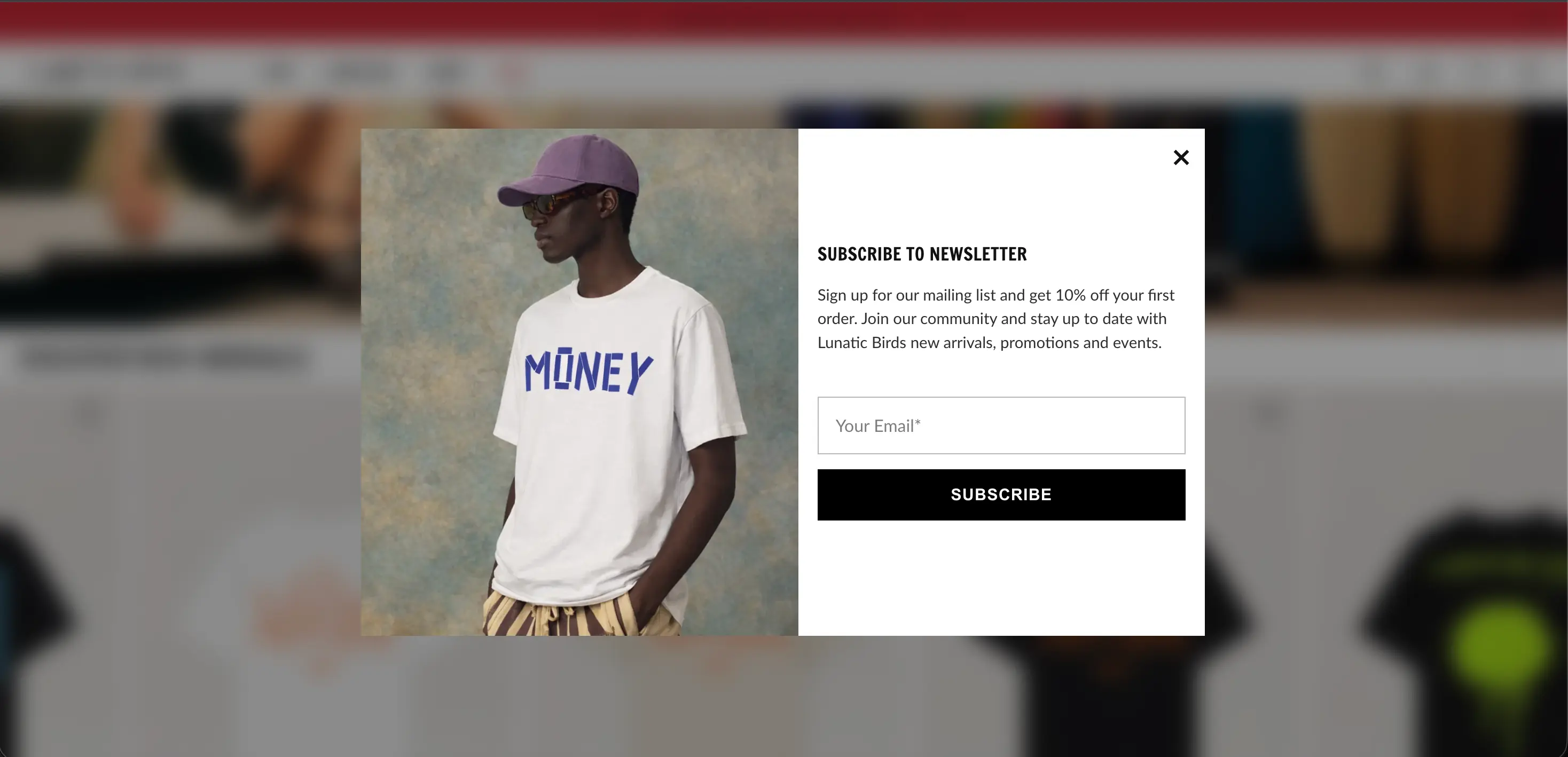 Lunatic Birds smart newsletter popup
